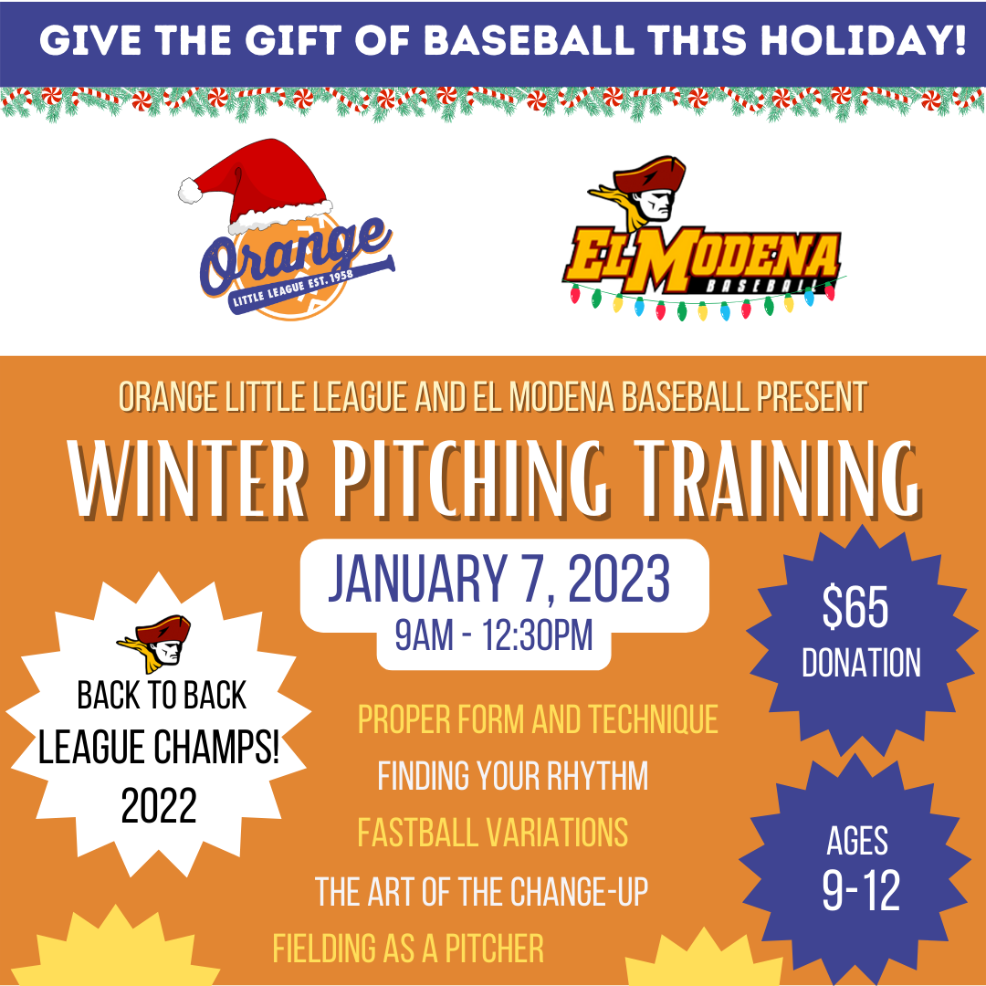 give the gift of baseball!